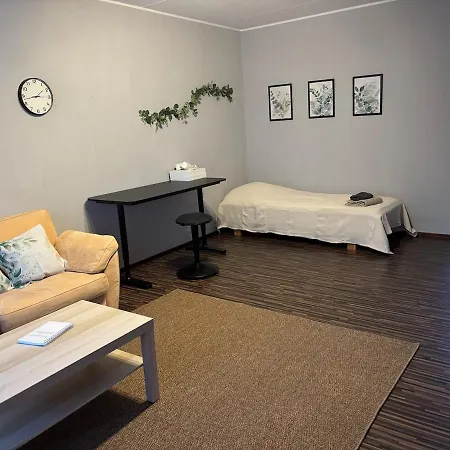 Tilava Ja Viihtyisae Kaksio Turussa Apartment *